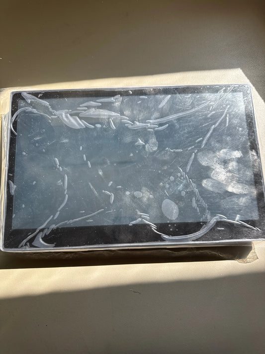 Telac Display 11.7” Engineering Sample